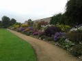 Herbaceous Borders Old & New 27th Sept 2024.